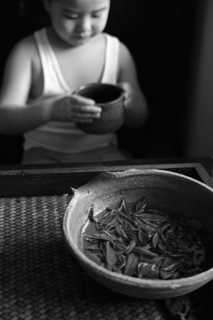 茶学