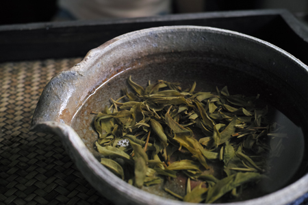 倚邦単樹春の散茶2015年