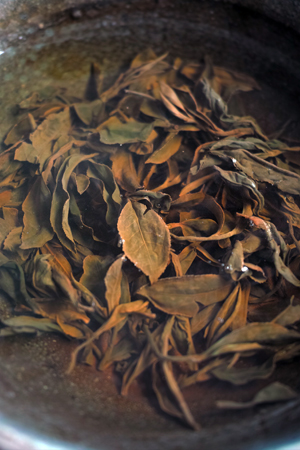 漫撒陰涼紅茶2015年