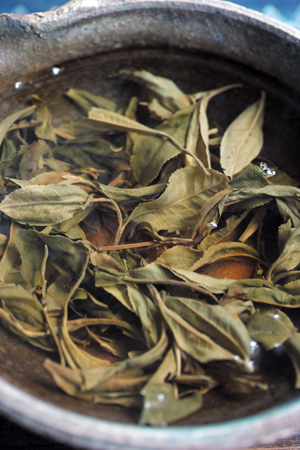 南糯山秋天散茶2013年