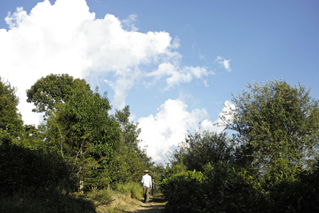 帕沙山