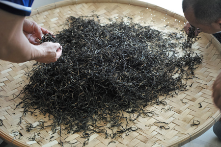 雲南古樹紅茶