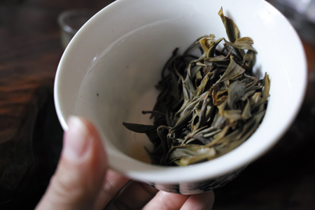 章朗寨古茶樹のお茶