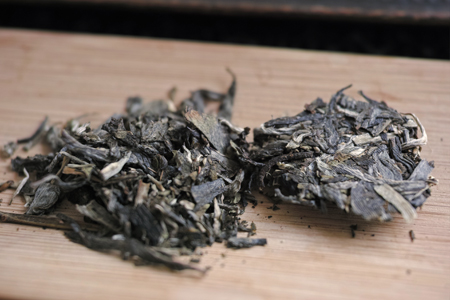 刮風寨茶王樹古樹青餅2015年・秋天プーアル茶