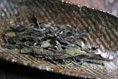 章朗古樹秋天散茶2015年