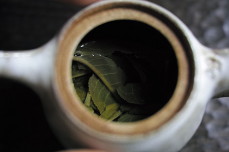 章朗古樹秋天散茶2015年