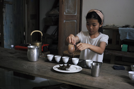 茶学チェンマイ