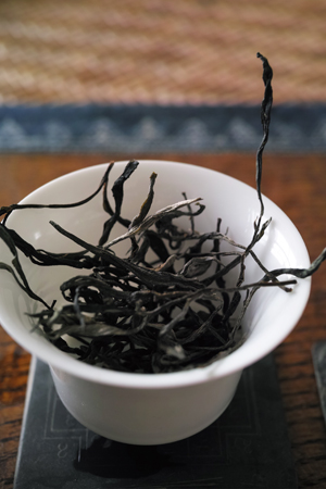 一扇磨春の散茶緑印