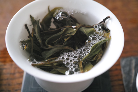 泡茶