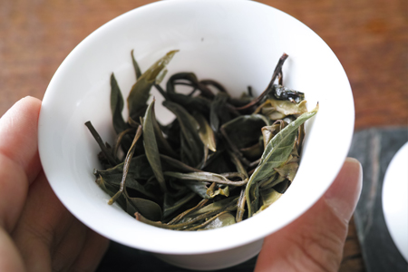 一扇磨春の散茶2016年洗茶