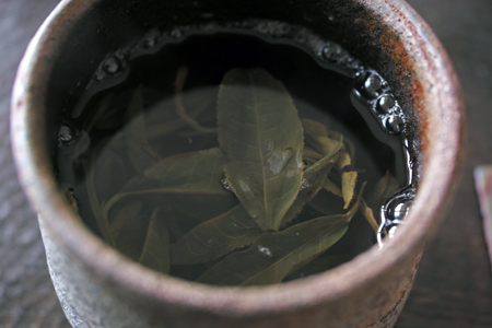 章朗古樹春天散茶2016年