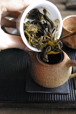 蓋碗から茶壺にバトンタッチ