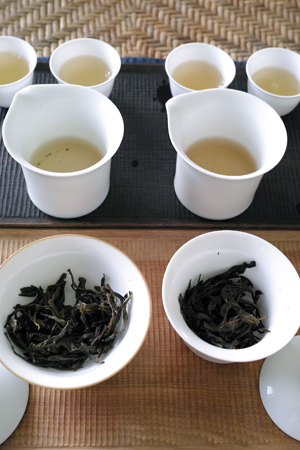 漫撒三家青餅2014年蓋碗2種1煎め