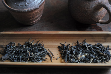 巴達古樹紅餅2010年紅茶