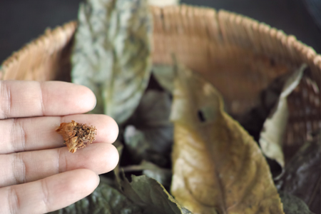 茶花