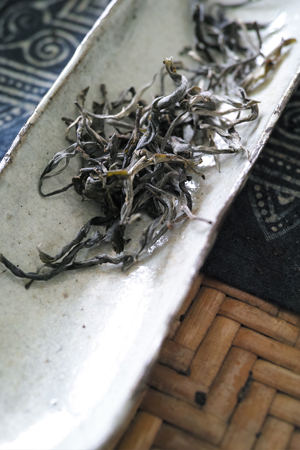 倚邦古樹晒青茶2017年