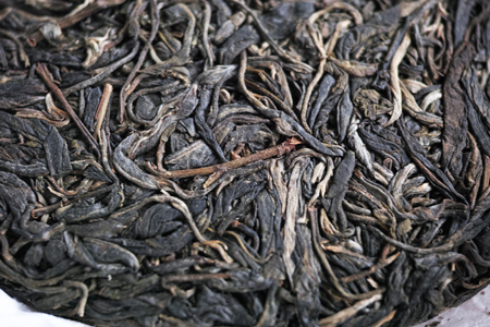 大きめの新芽や茎