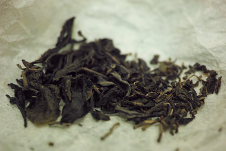 困鹿山単樹の散茶2016年