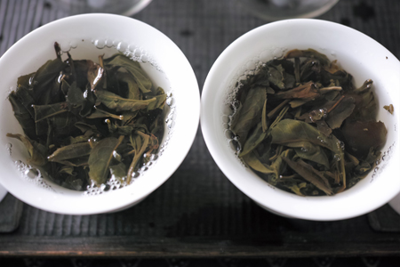 焙煎前と焙煎後