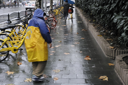 12月の雨の上海