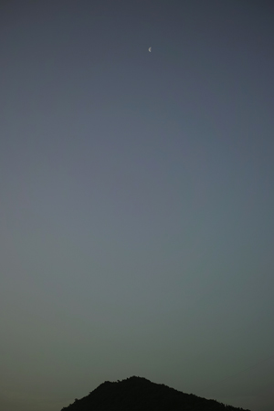 月