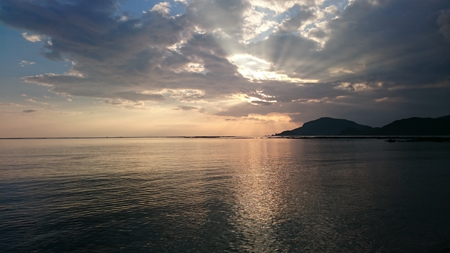 海