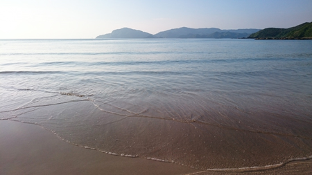 海
