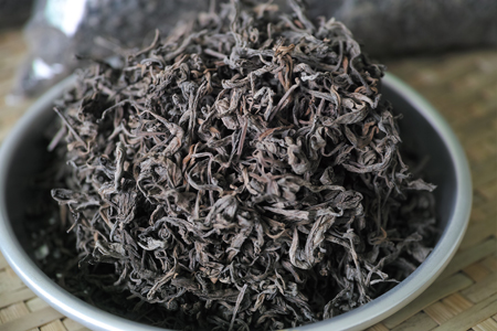 生の熟茶