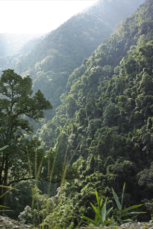 刮風寨近景