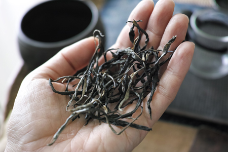 ラオスの古樹茶