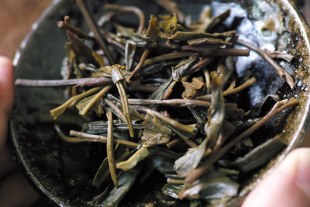 葉底の茎