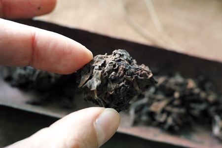 茶頭