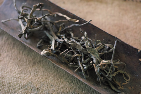7批熟茶