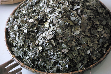 発酵後の茶葉