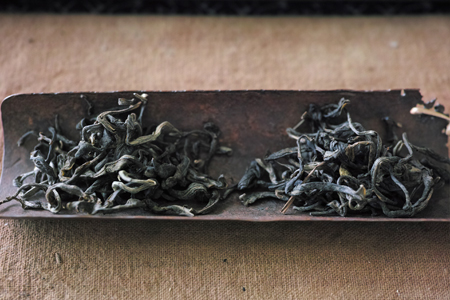 雑菌の茶葉