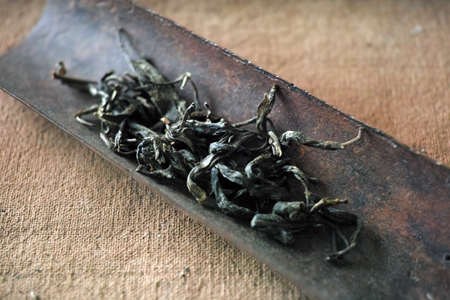 茶葉