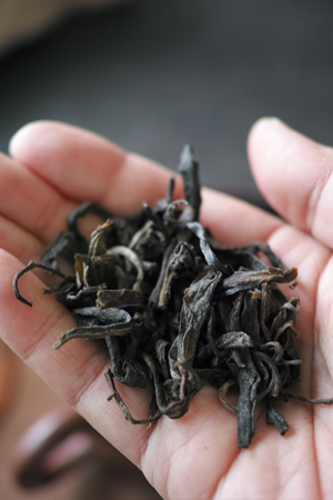 発酵の茶葉