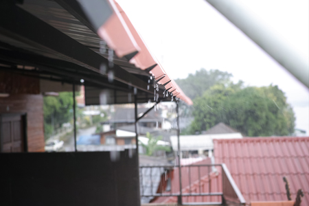 雨