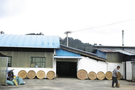 製茶場