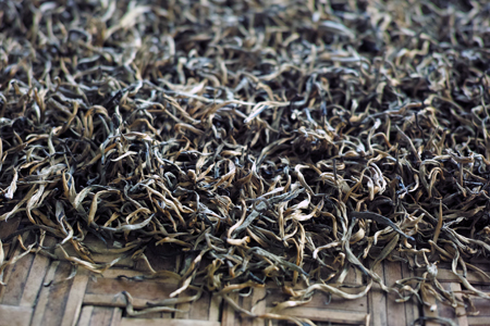 巴達金針紅茶