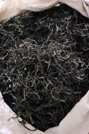 高幹の茶葉