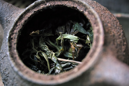 泡茶
