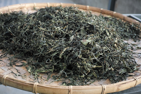晒青毛茶