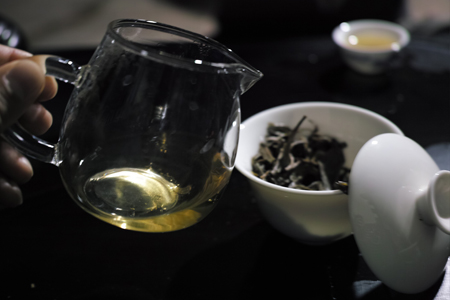 試飲