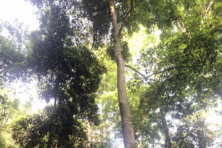高幹上