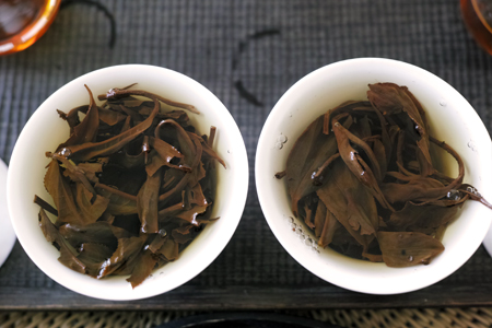 左巴達右孟宗