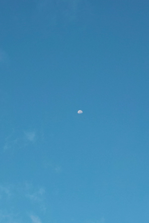 月