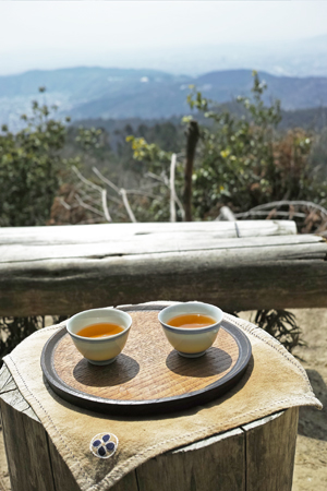 泡茶