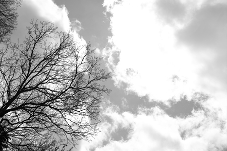 空