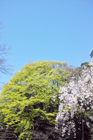 空